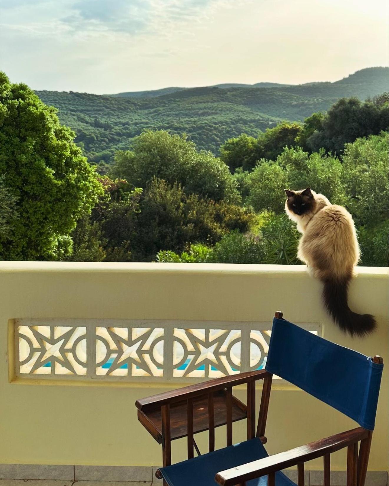 Вілла Kyparissia De Wandelboom Vrises  Екстер'єр фото